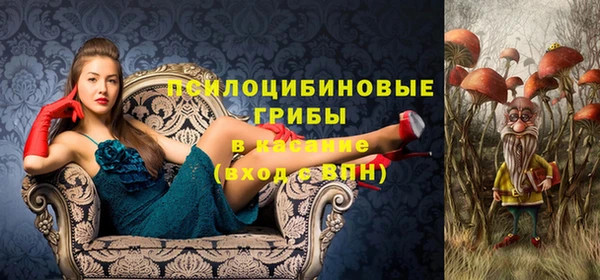 не бодяженный Алзамай