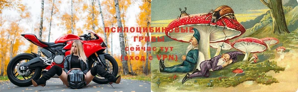 гидра Алексин