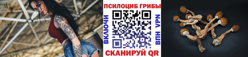 магазин продажи наркотиков  OMG как войти  Галлюциногенные грибы GOLDEN TEACHER  Алексин 