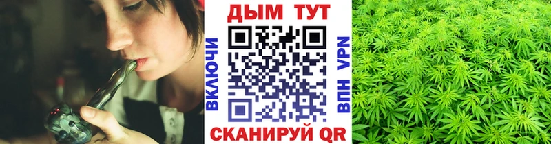 купить наркотики цена  darknet телеграм  Конопля сатива  Алексин 